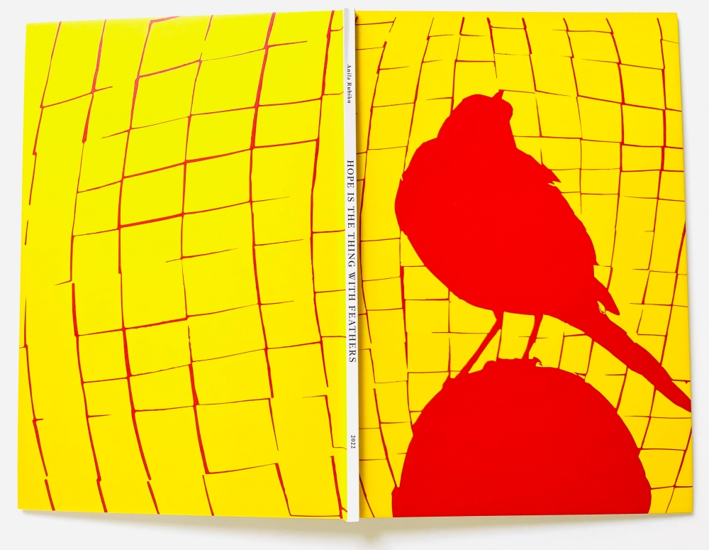 Presentazione del libro di Anila Rubiku: Hope is the thing with feathers