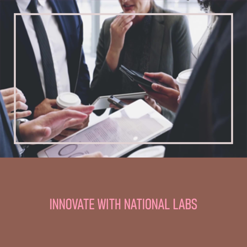 Students and Faculty at Work: A Unique Opportunity to Grow and Innovate in U.S. National Laboratories