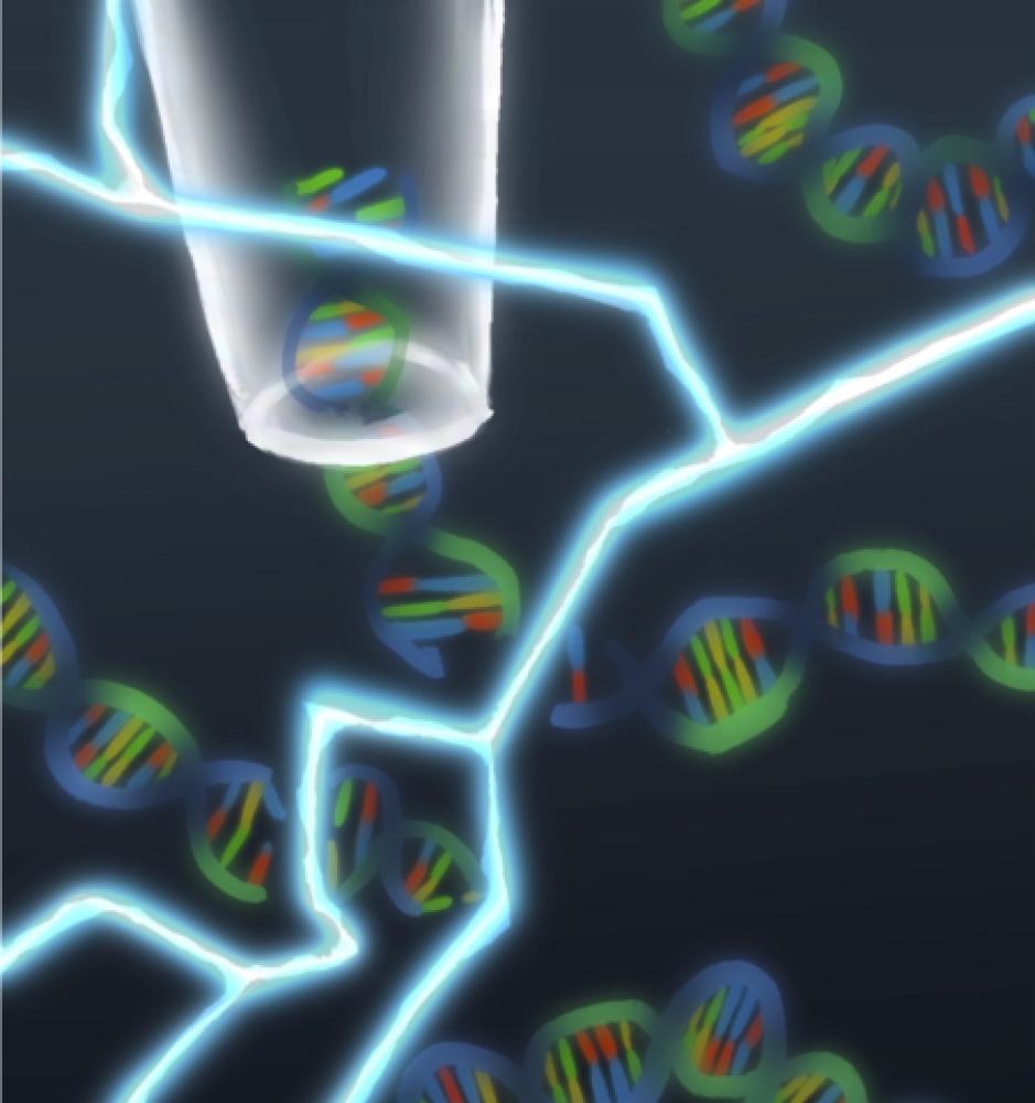 Al NIST misurare i danni al DNA in pochi minuti cambia la scienza delle radiazioni