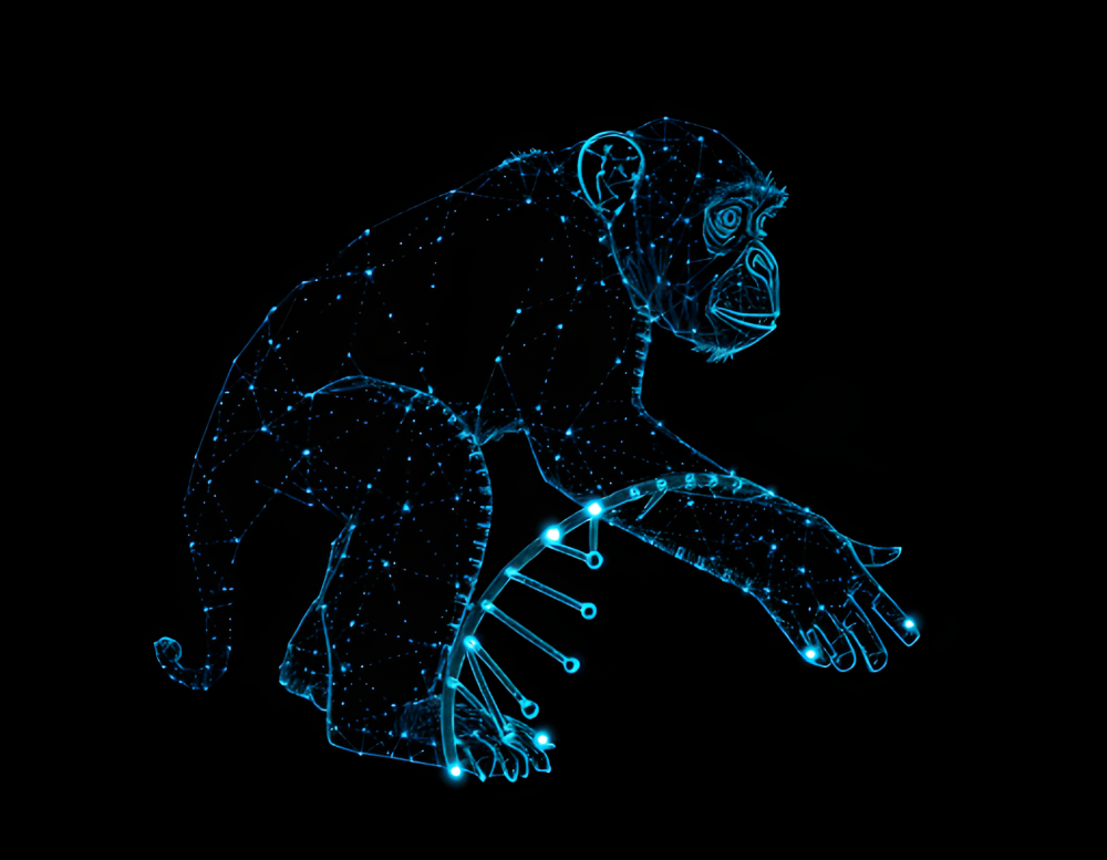 La FDA frena sui test animali: nuove linee guida per ridurre l'uso di primati nello sviluppo di farmaci