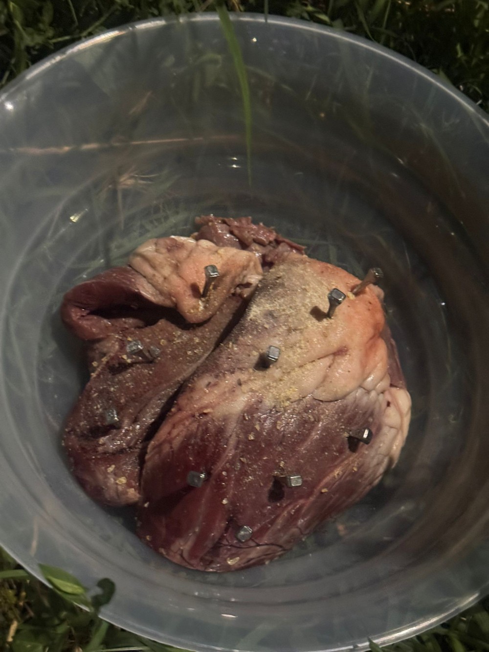 CARNE E CHIODI!