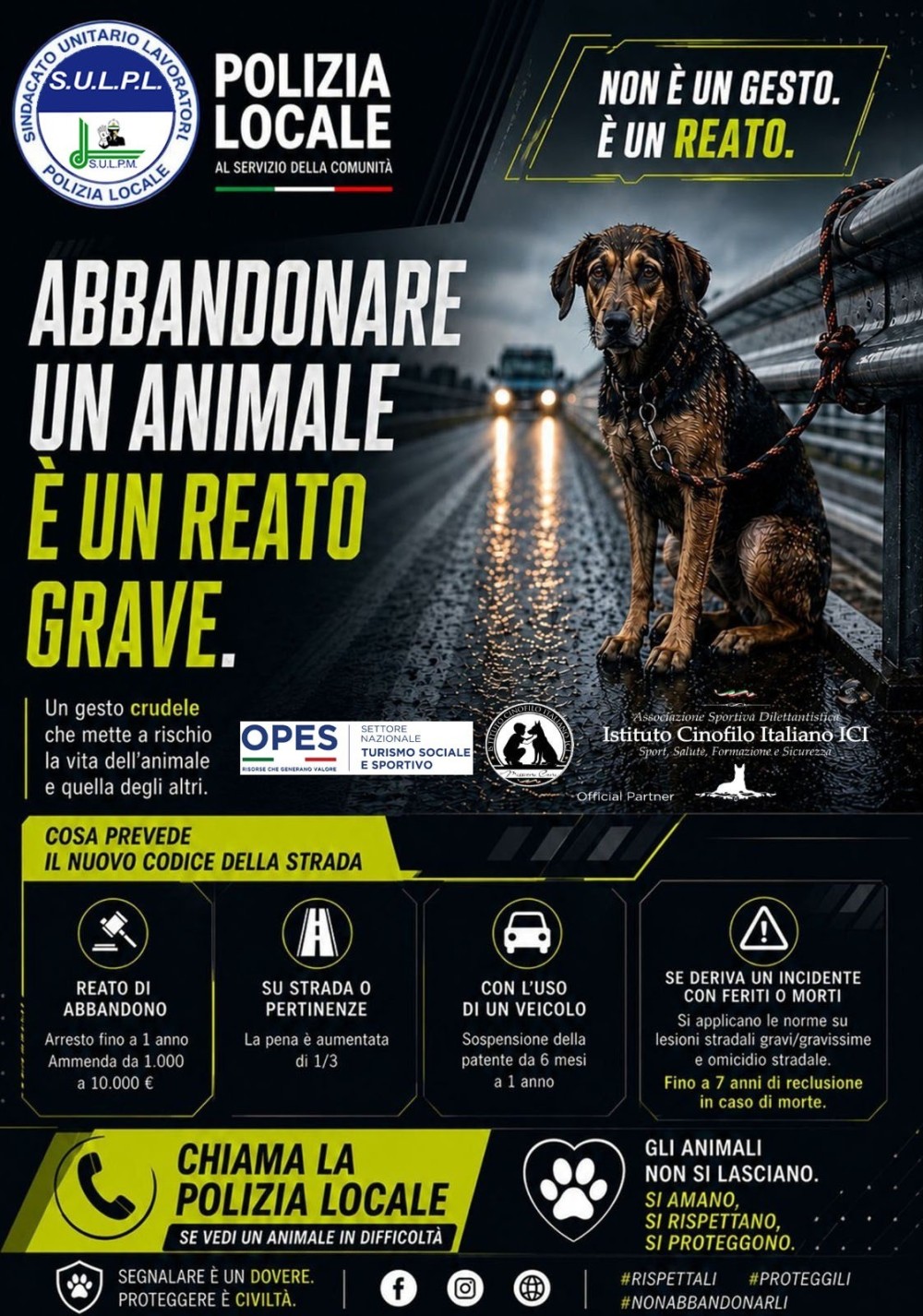 ABBANDONARE UN CANE NON È UNA SCELTA. È UN REATO.