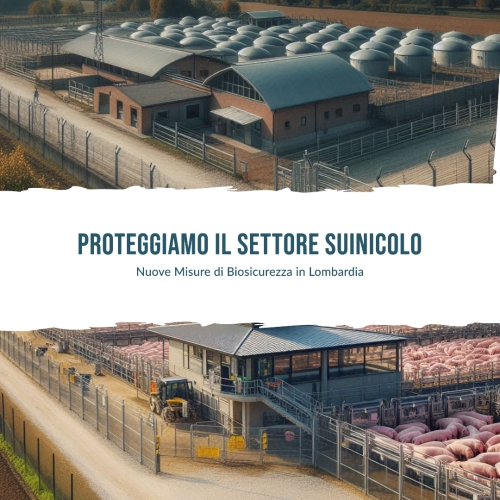 Nuove Misure contro la Peste Suina Africana: La Lombardia Rafforza la Biosicurezza per Proteggere un Settore da 30 Miliardi