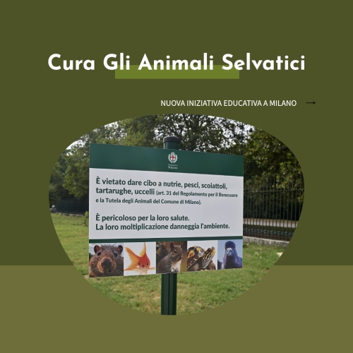Milano promuove una nuova iniziativa educativa per la cura degli animali selvatici