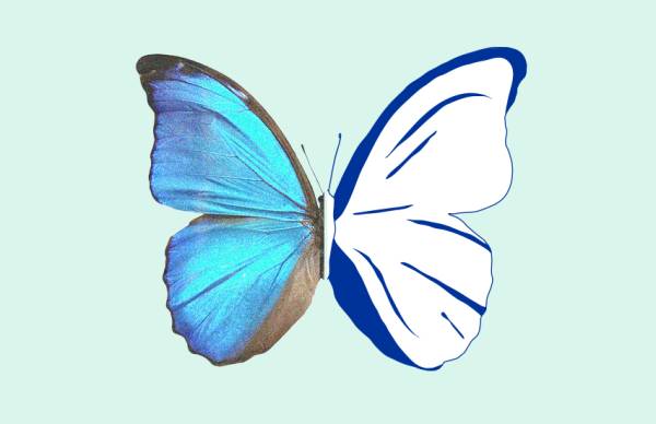 Ambiente - Il Consiglio Unione Europea, raggiunge un accordo sulla legge sul ripristino della natura